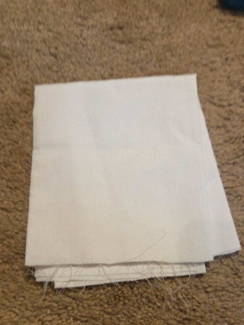 Remnants Of Material - Picture 3 of 13